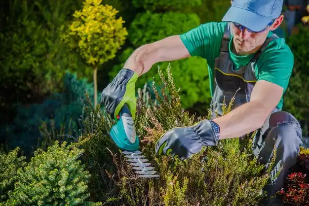 landscaping services Anderson